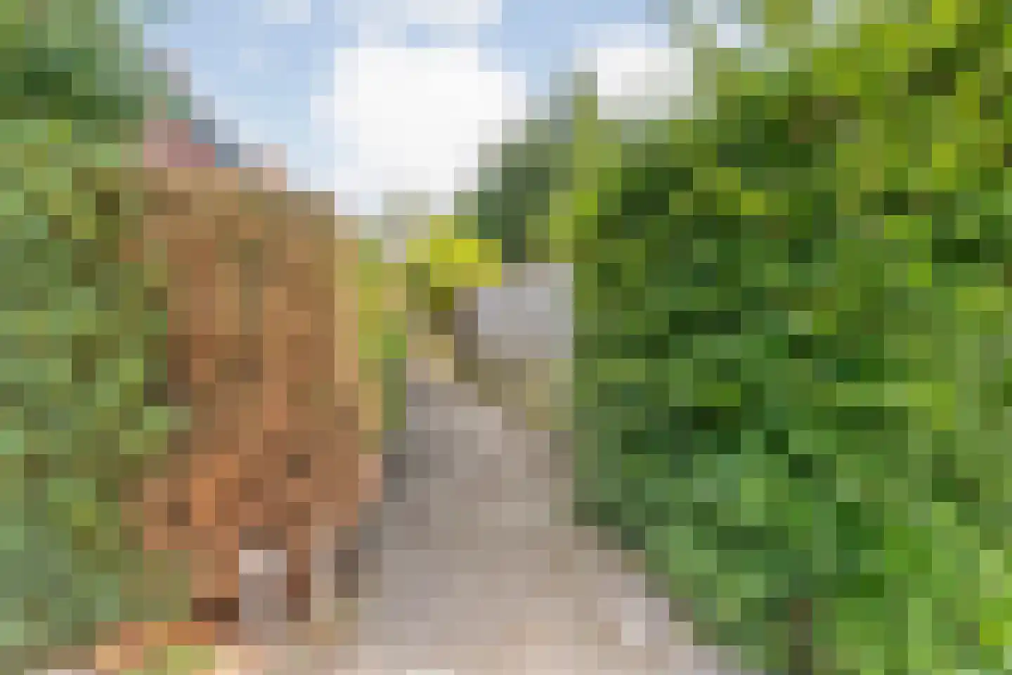 Sionserf 12 Nijverdal thumbnail 27