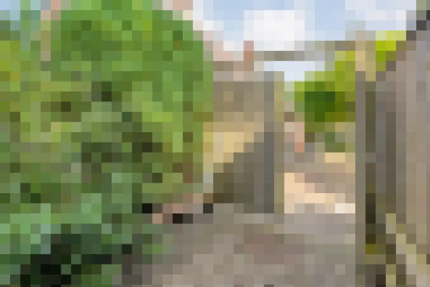 Sionserf 12 Nijverdal thumbnail 28