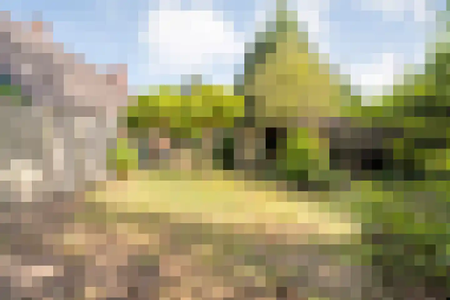 Sionserf 12 Nijverdal thumbnail 30