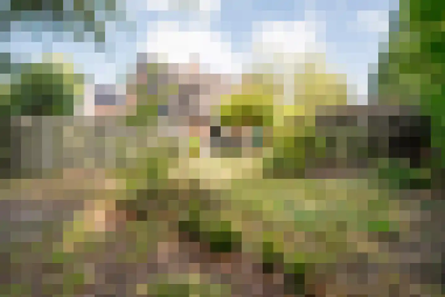 Sionserf 12 Nijverdal thumbnail 33
