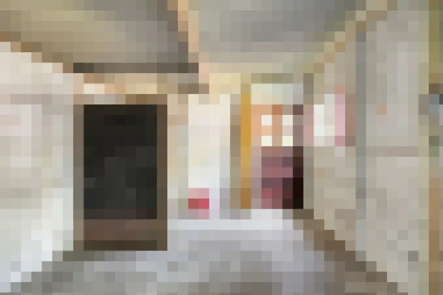 Sionserf 12 Nijverdal thumbnail 36