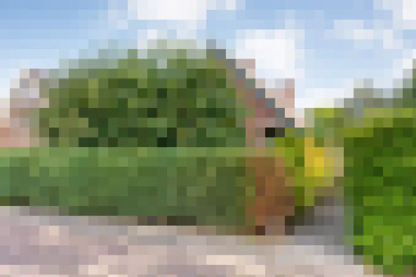 Sionserf 12 Nijverdal thumbnail 4