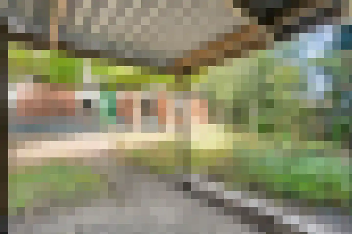 Sionserf 12 Nijverdal thumbnail 40