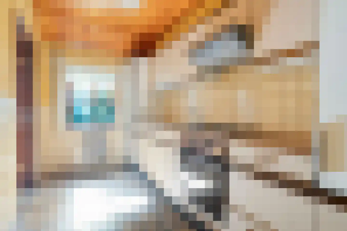 Sionserf 12 Nijverdal thumbnail 49