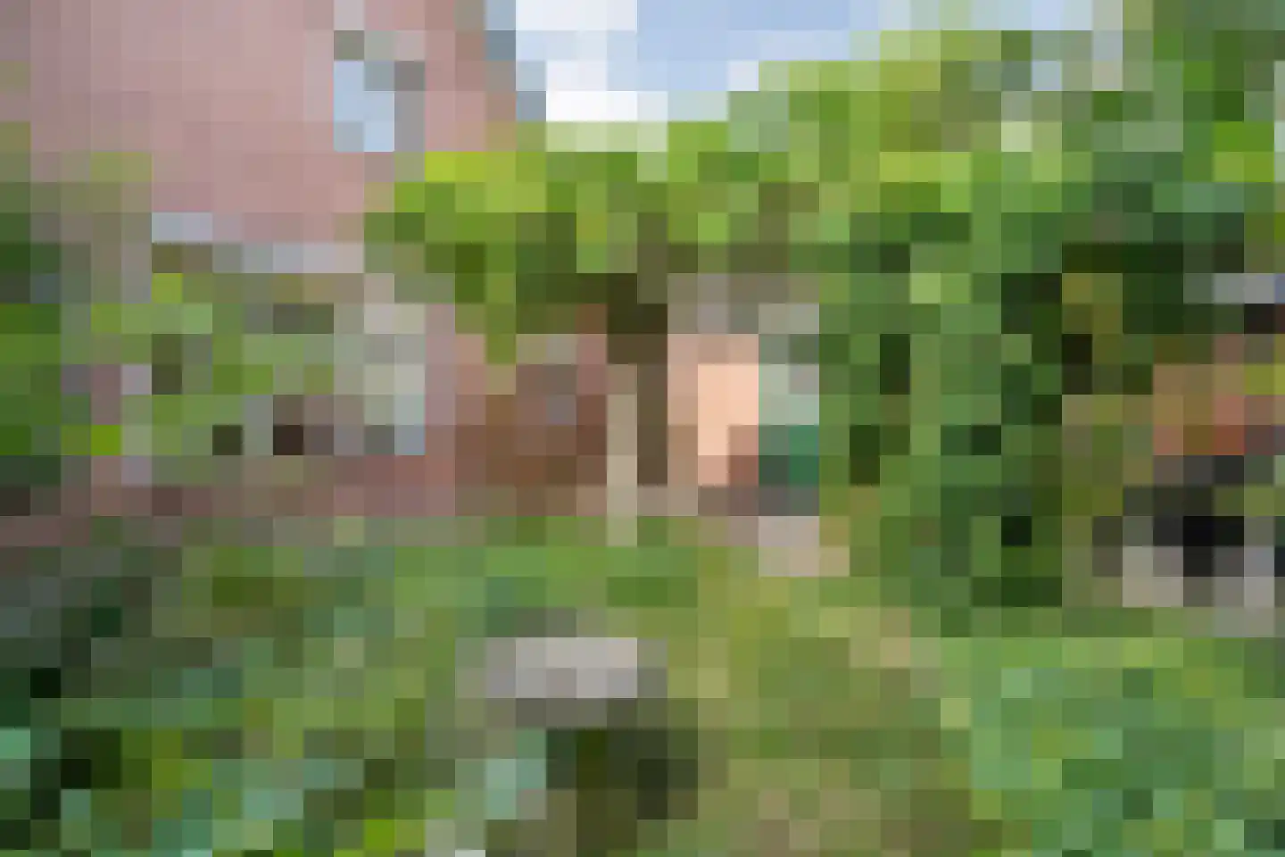 Sionserf 12 Nijverdal thumbnail 64