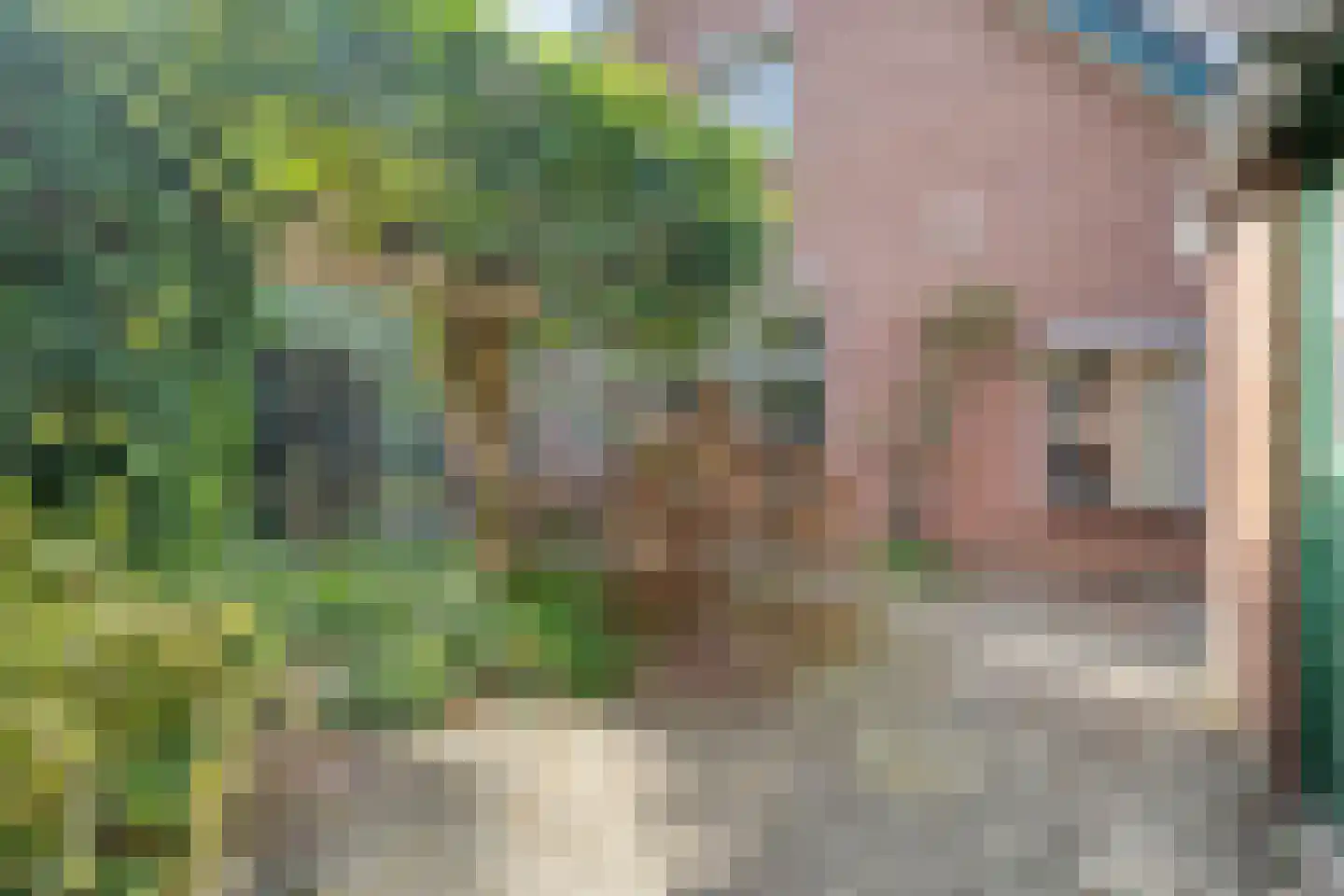 Sionserf 12 Nijverdal thumbnail 65