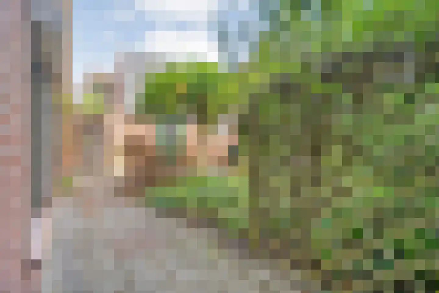 Sionserf 12 Nijverdal thumbnail 66