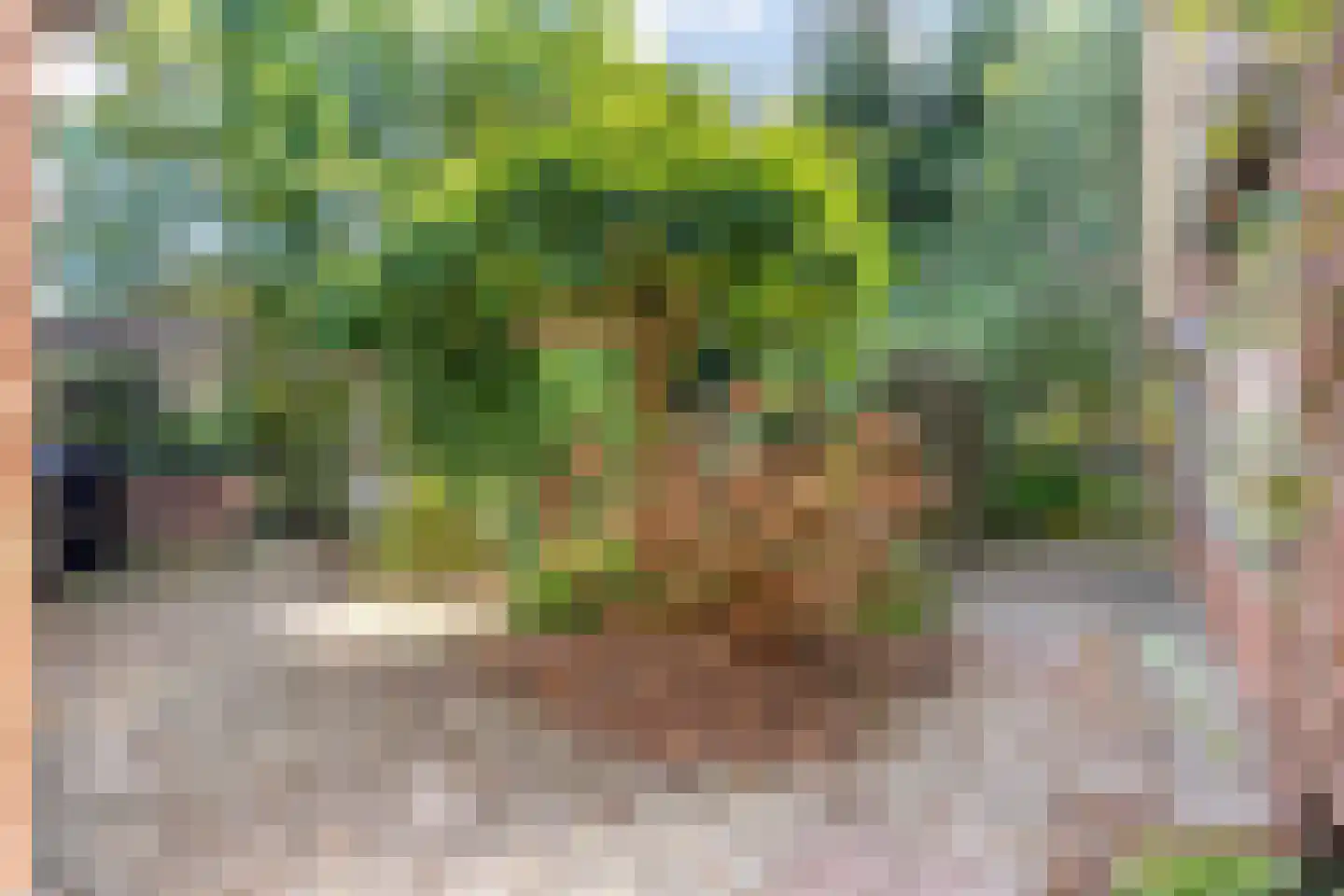 Sionserf 12 Nijverdal thumbnail 69