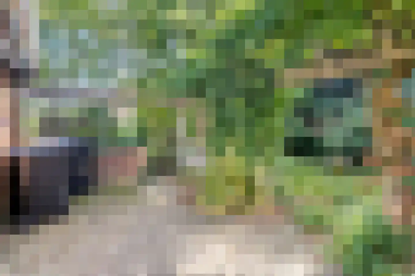 Sionserf 12 Nijverdal thumbnail 70