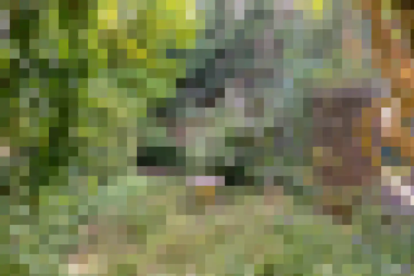 Sionserf 12 Nijverdal thumbnail 71