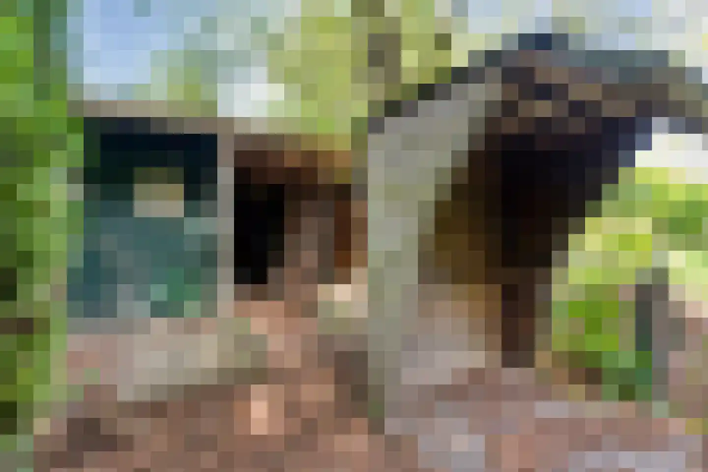 Sionserf 12 Nijverdal thumbnail 73