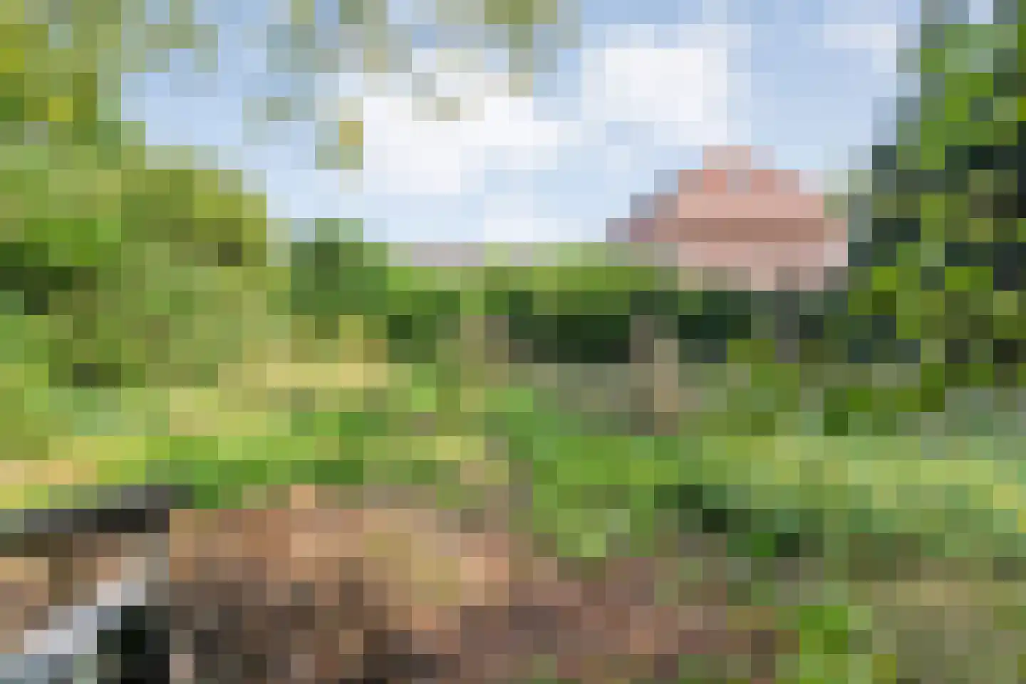 Sionserf 12 Nijverdal thumbnail 74