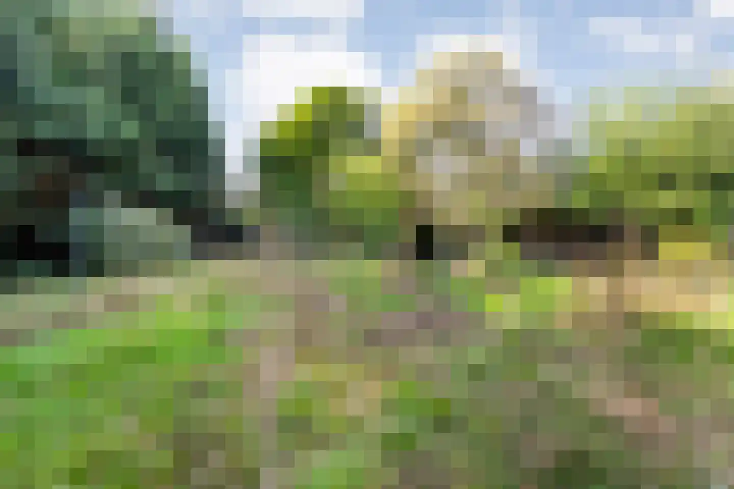 Sionserf 12 Nijverdal thumbnail 76