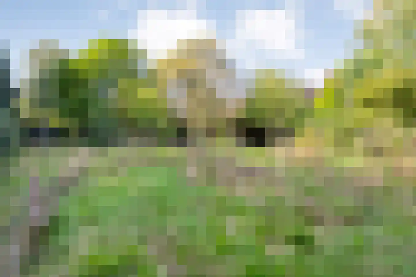 Sionserf 12 Nijverdal thumbnail 77