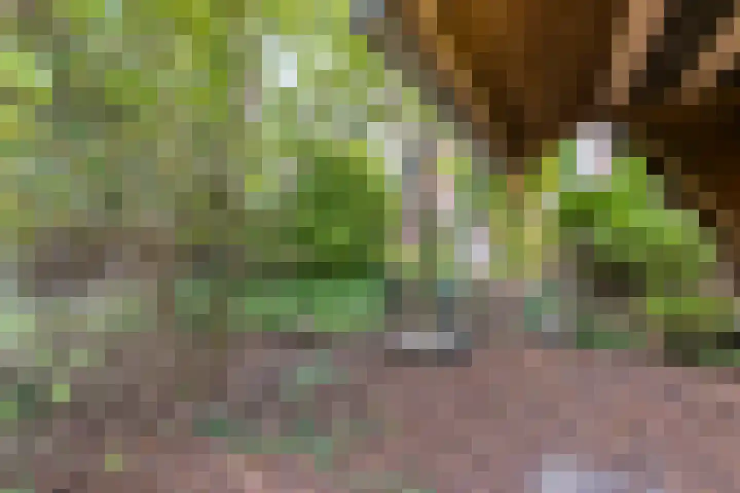 Sionserf 12 Nijverdal thumbnail 78
