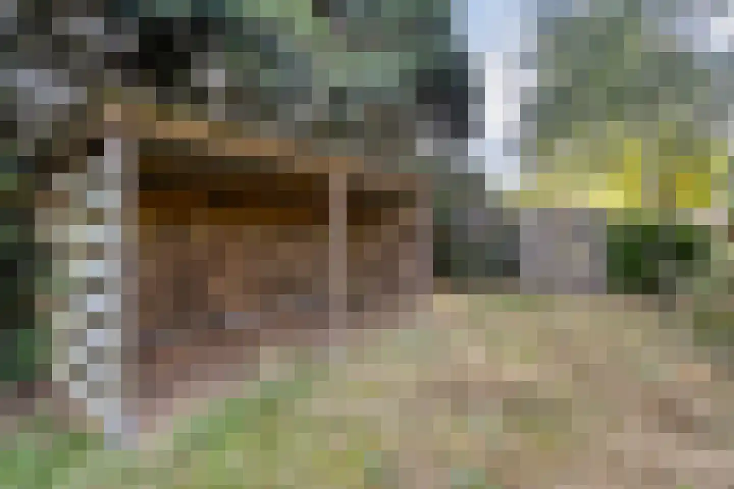 Sionserf 12 Nijverdal thumbnail 80