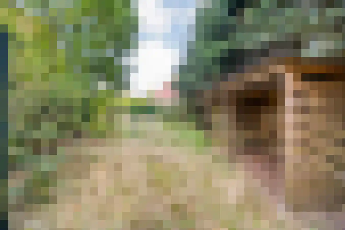Sionserf 12 Nijverdal thumbnail 81