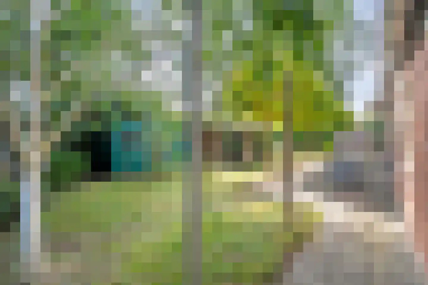 Sionserf 12 Nijverdal thumbnail 82