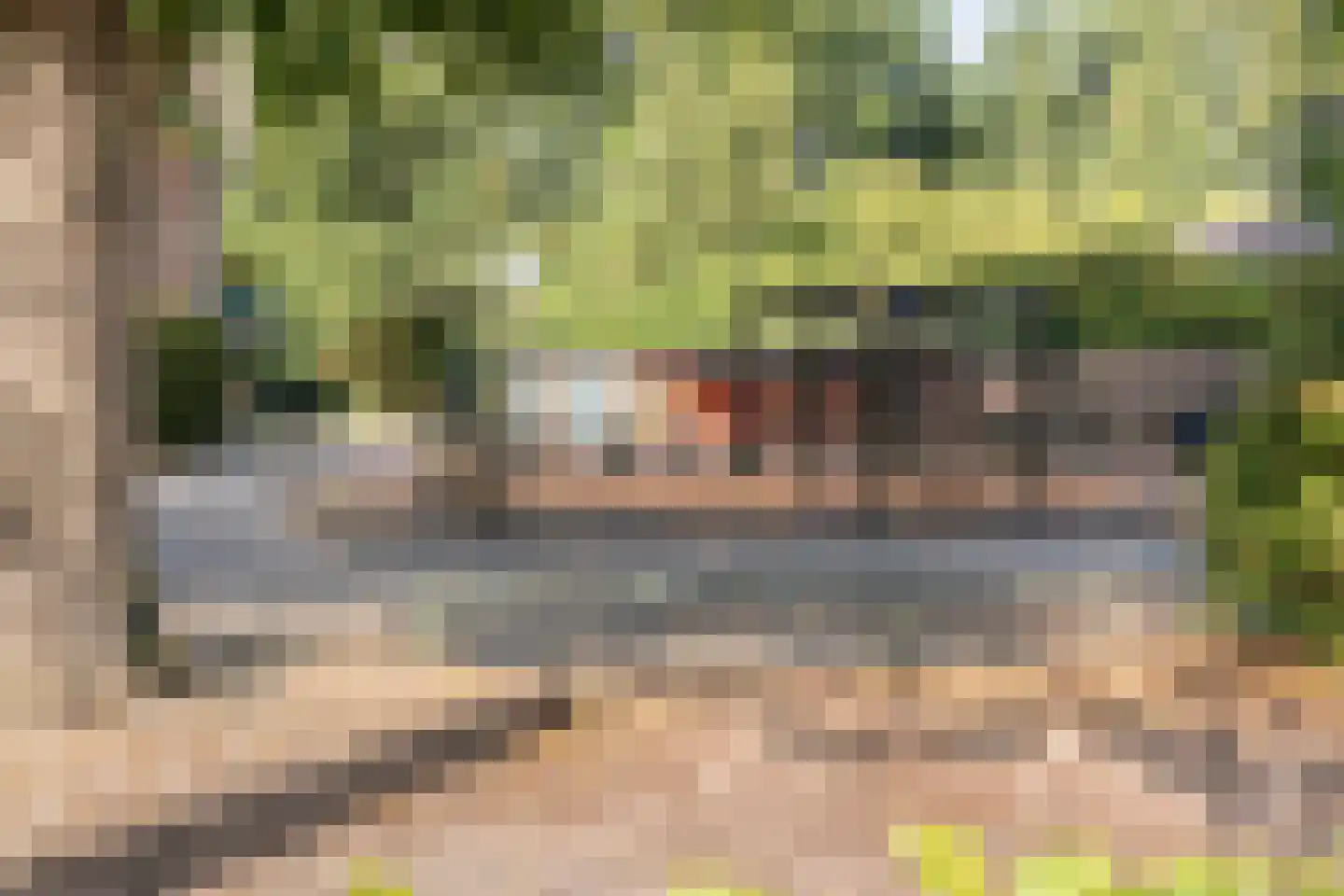 Sionserf 12 Nijverdal thumbnail 86