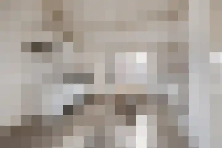 Sionsteeg 3 Leiden thumbnail 11