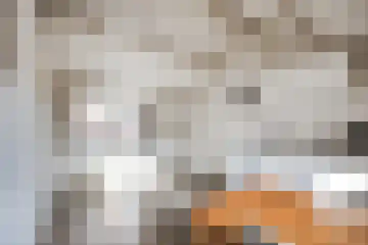 Sionsteeg 3 Leiden thumbnail 13