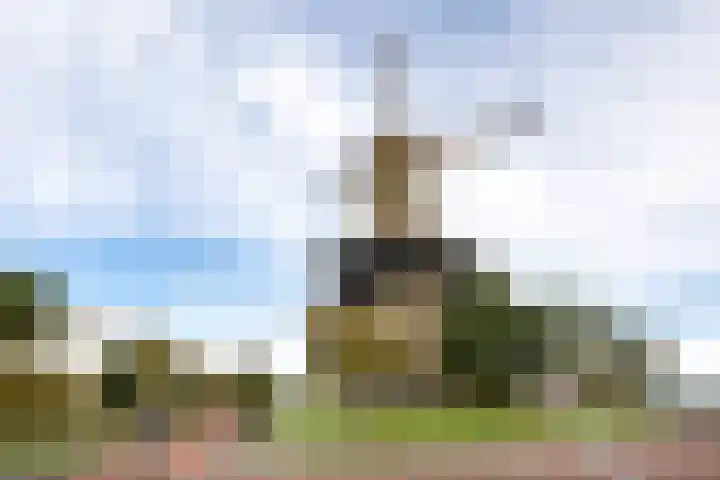 Sionsteeg 3 Leiden thumbnail 21