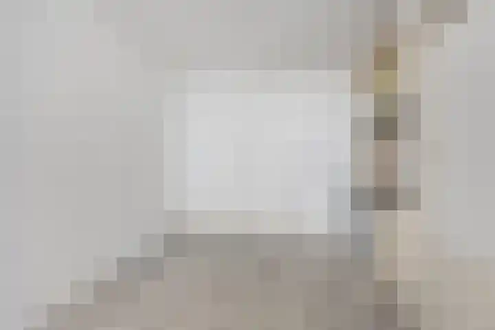 Sionsteeg 3 Leiden thumbnail 6