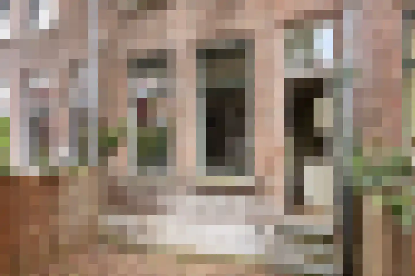 Sionstraat 19 A Rotterdam thumbnail 12