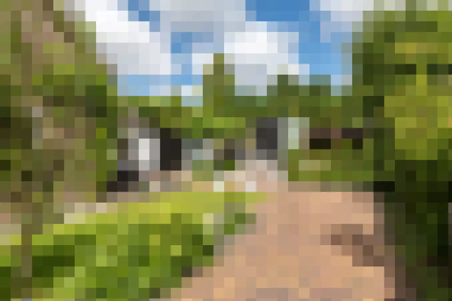 Sionsweg 14 Rijswijk thumbnail 11