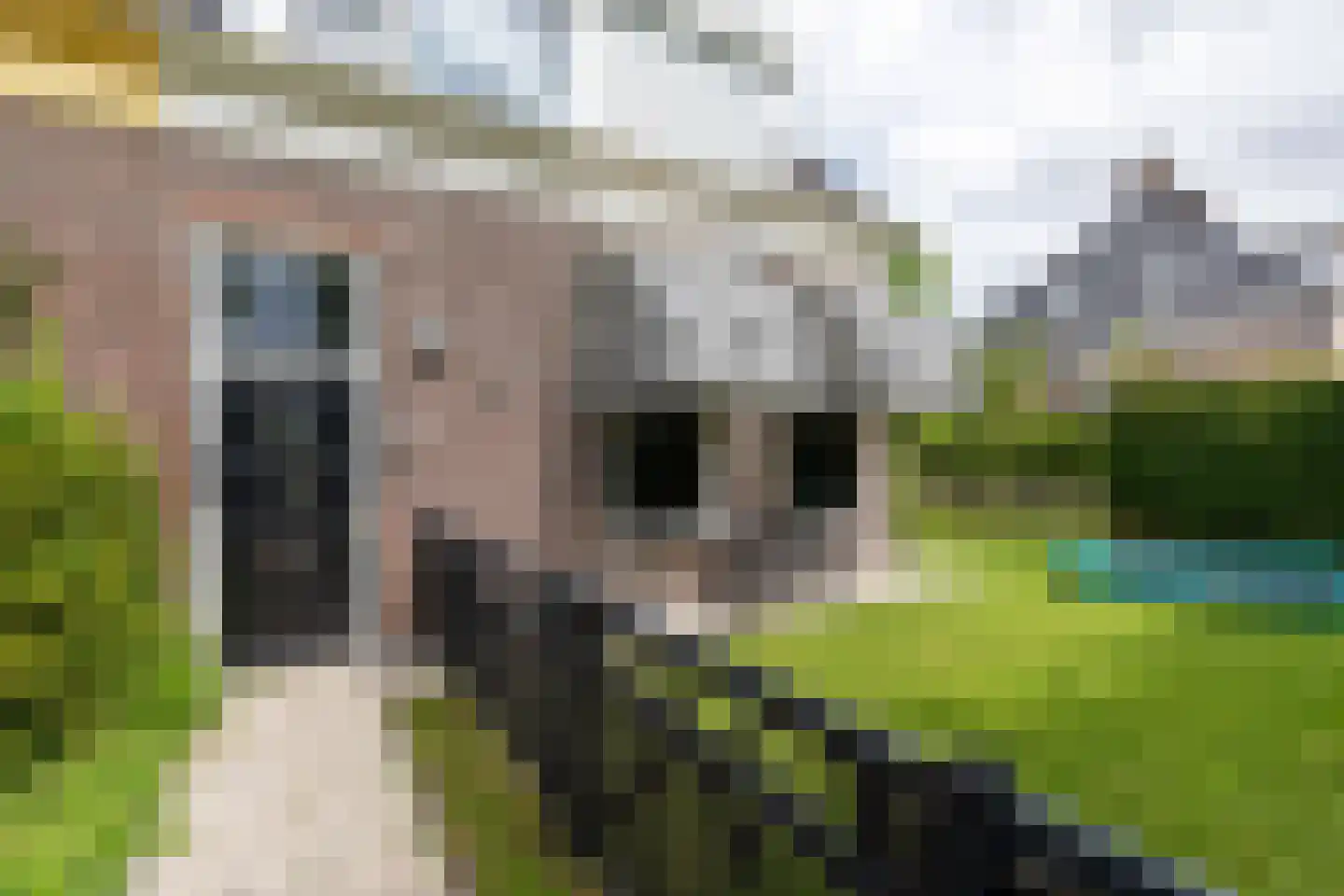 Sionsweg 14 Rijswijk thumbnail 13