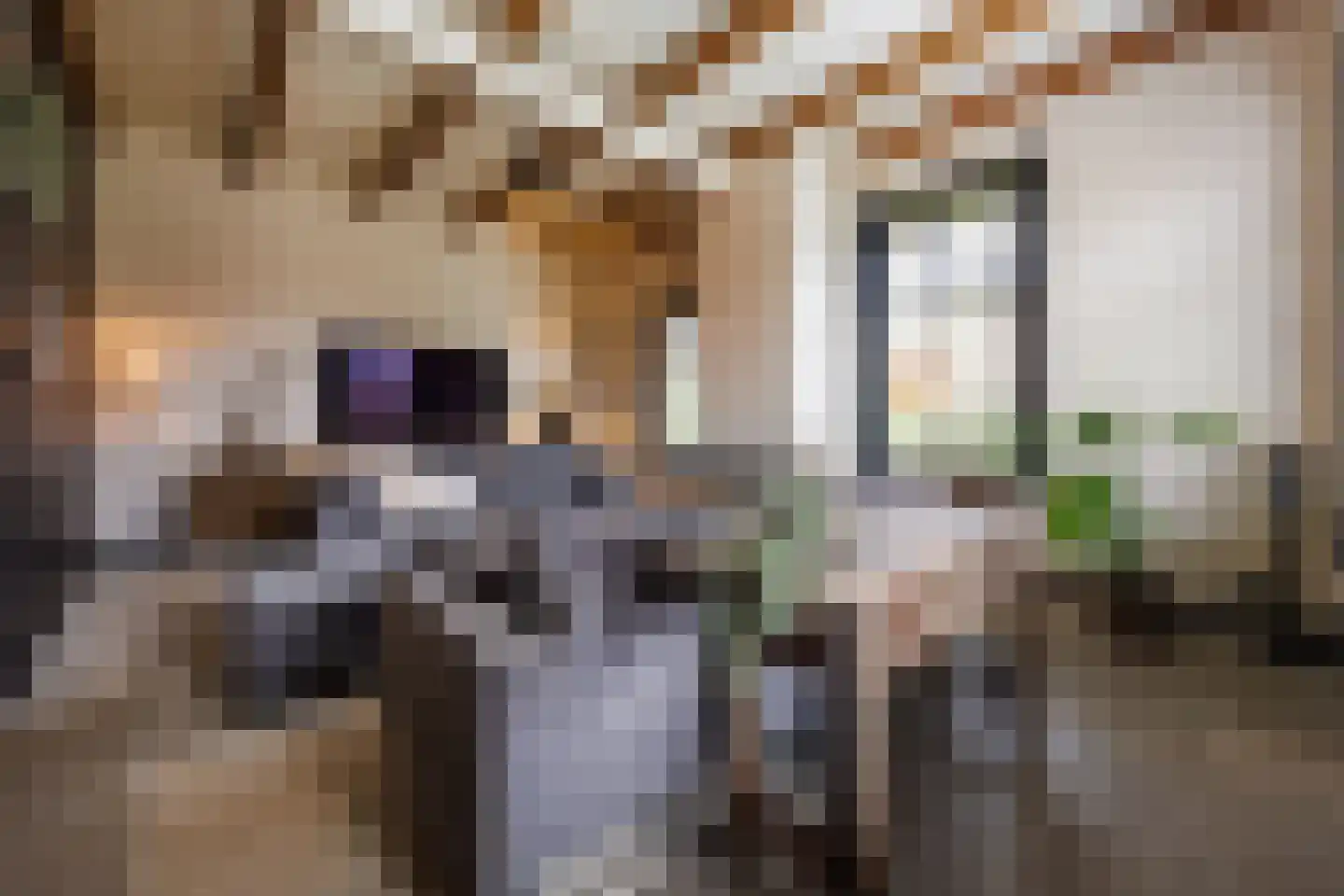 Sionsweg 14 Rijswijk thumbnail 21