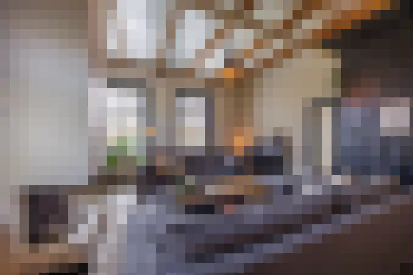 Sionsweg 14 Rijswijk thumbnail 23