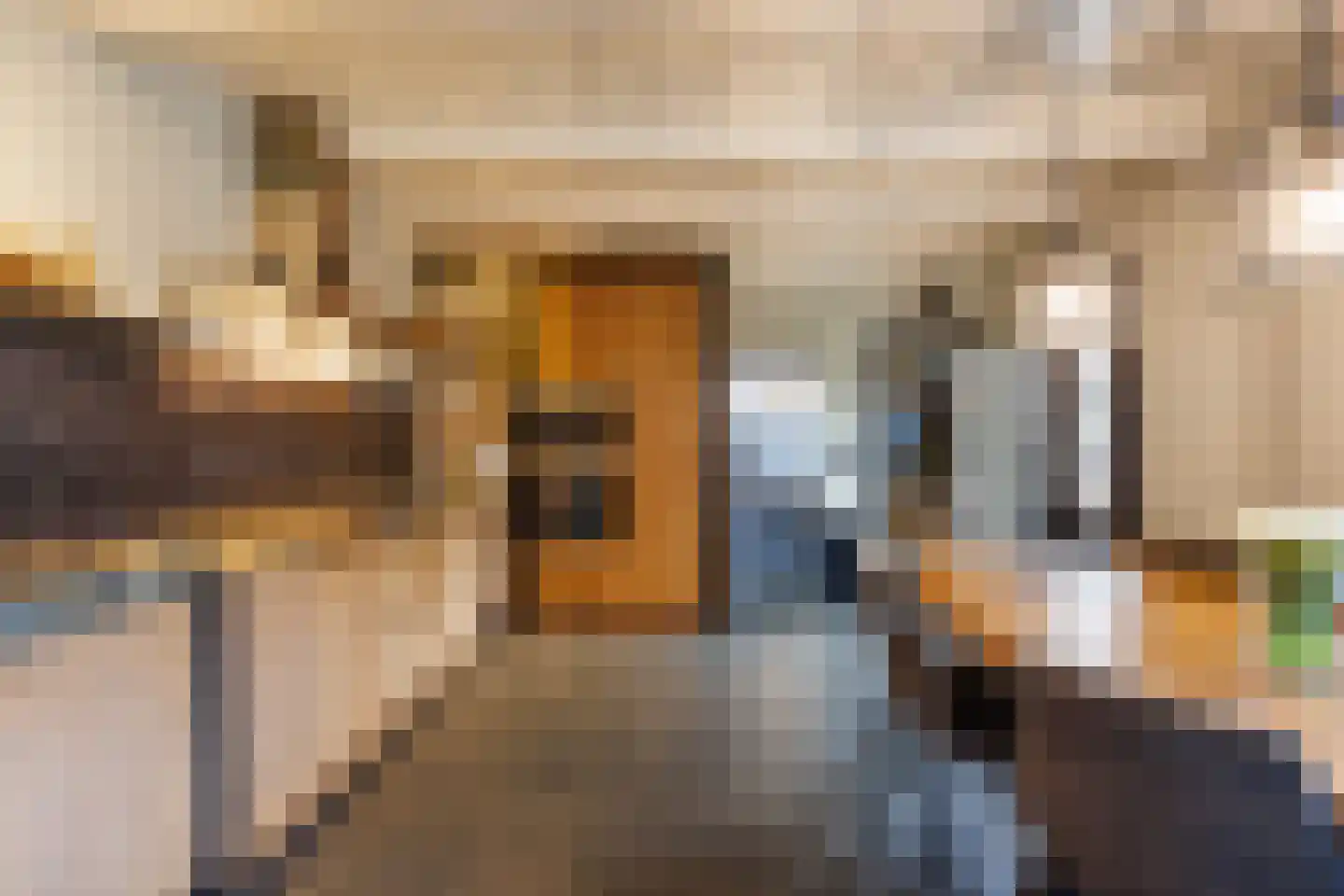 Sionsweg 14 Rijswijk thumbnail 30