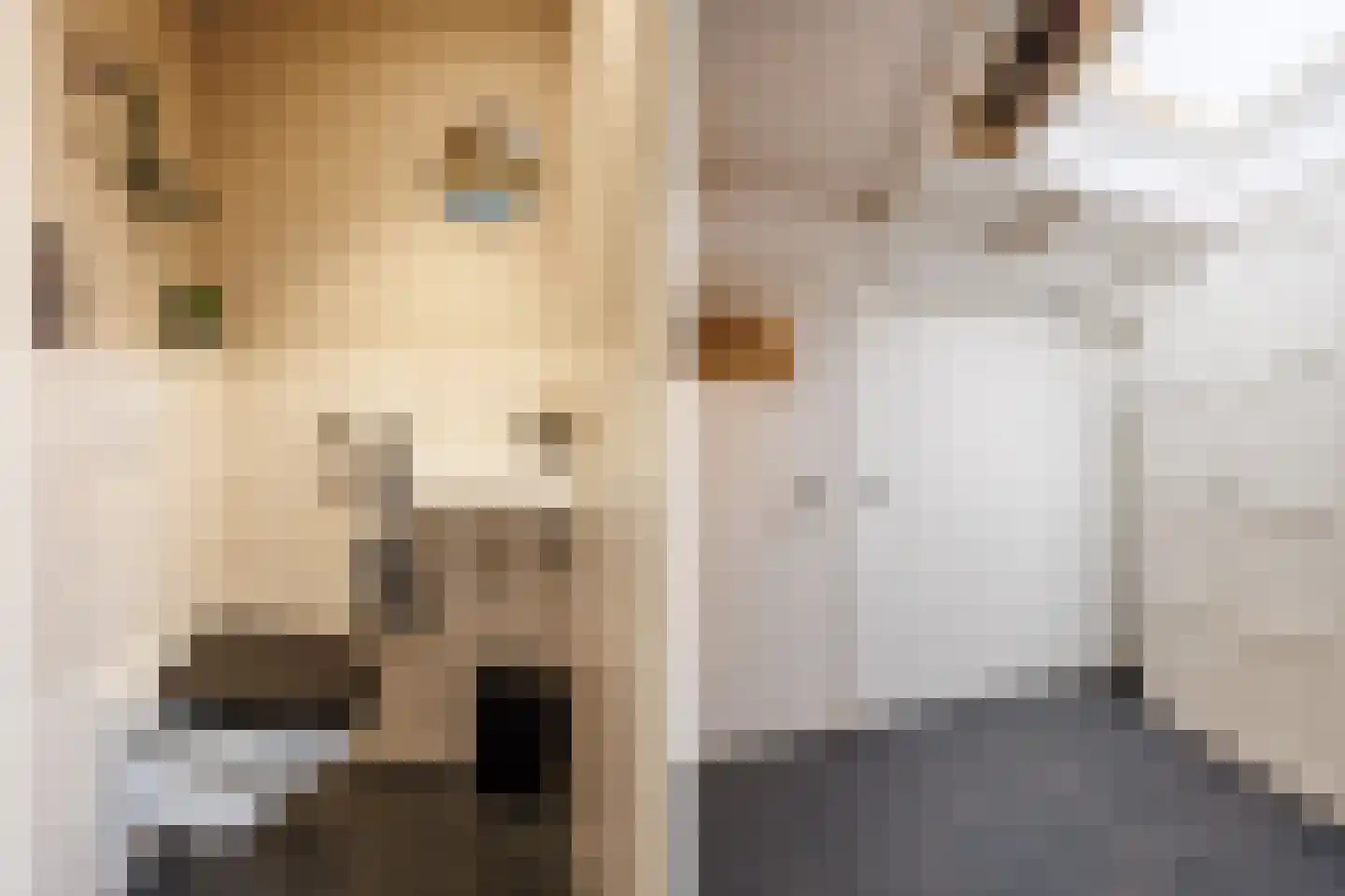 Sionsweg 14 Rijswijk thumbnail 32
