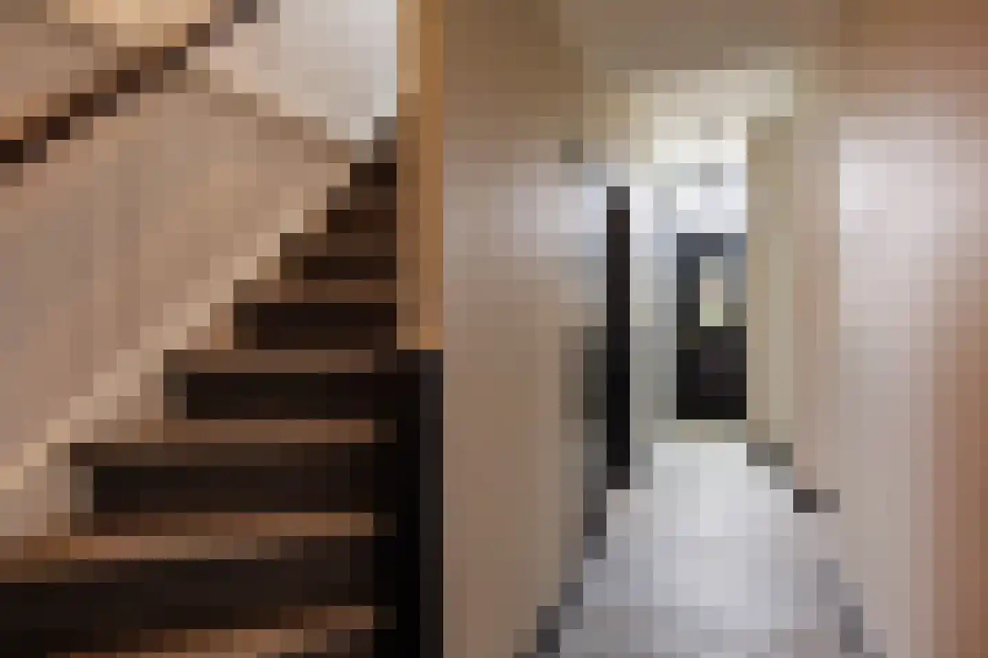 Sionsweg 14 Rijswijk thumbnail 37