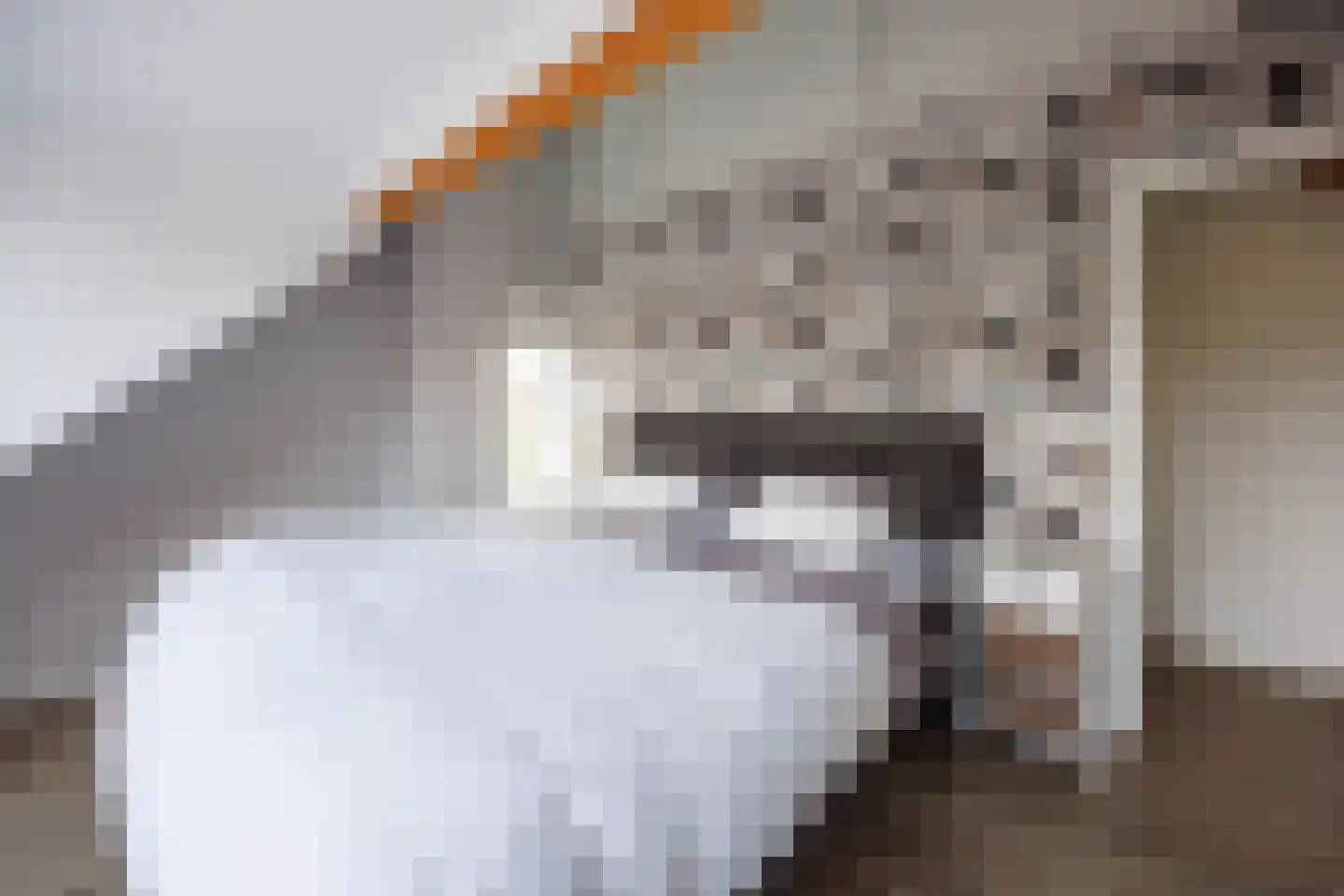 Sionsweg 14 Rijswijk thumbnail 40