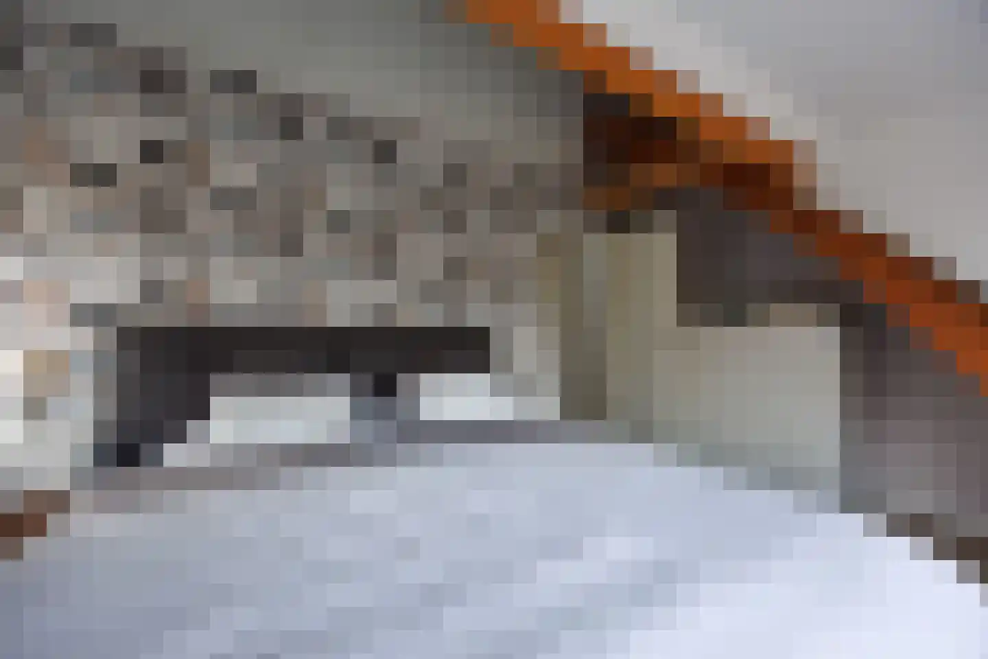 Sionsweg 14 Rijswijk thumbnail 41