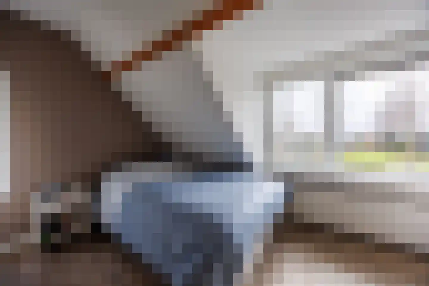 Sionsweg 14 Rijswijk thumbnail 42