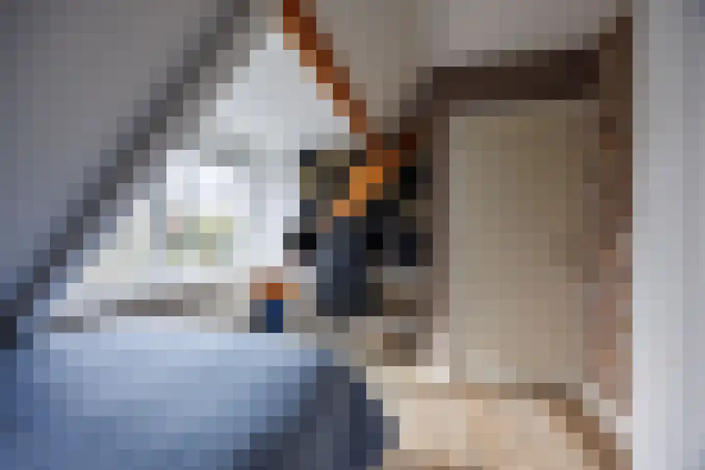 Sionsweg 14 Rijswijk thumbnail 44