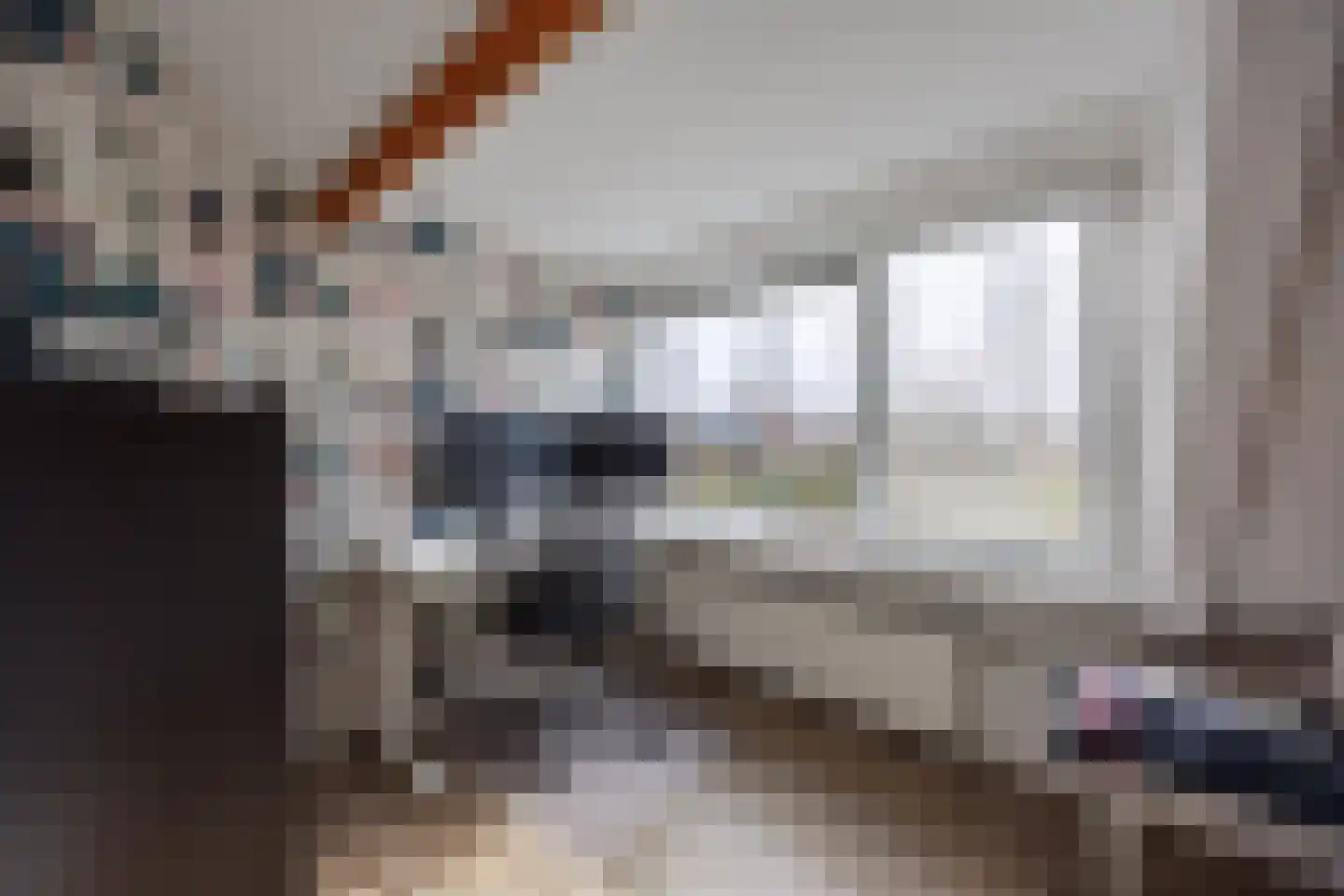 Sionsweg 14 Rijswijk thumbnail 45