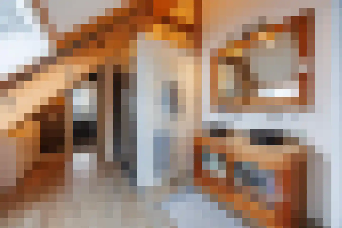 Sionsweg 14 Rijswijk thumbnail 47