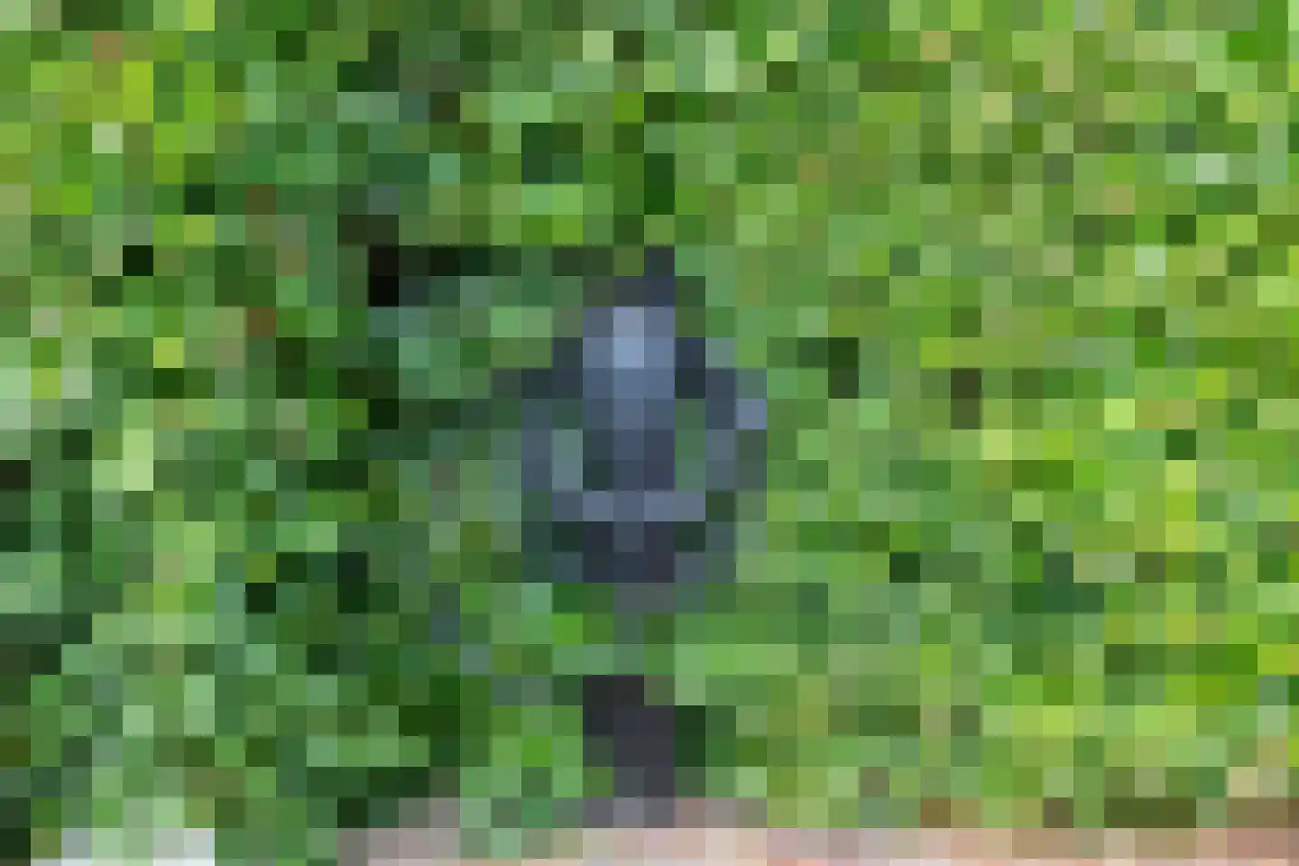 Sionsweg 14 Rijswijk thumbnail 56