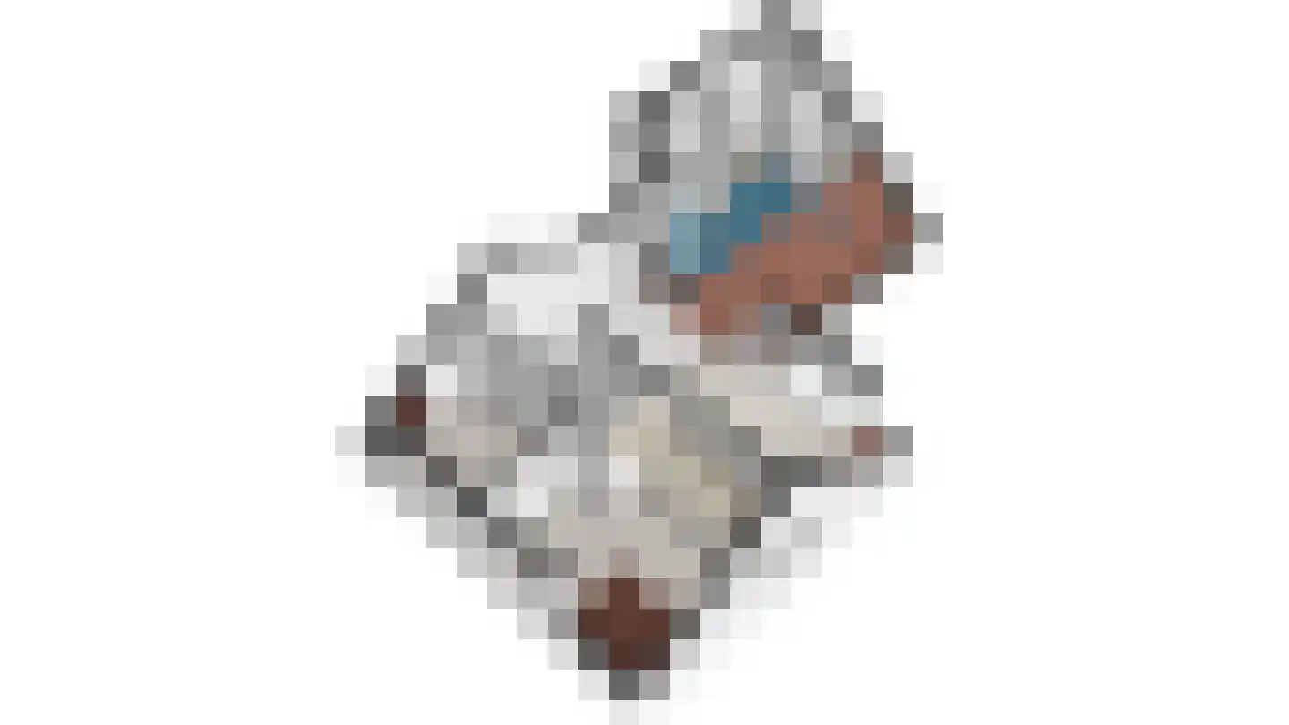 Sionsweg 14 Rijswijk thumbnail 60