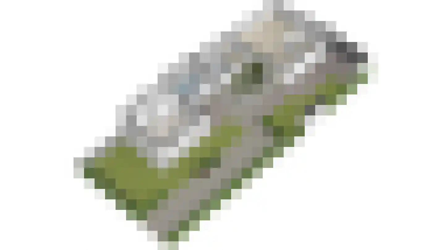 Sionsweg 14 Rijswijk thumbnail 64
