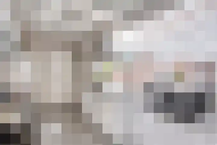 Sionsweg 53 Maastricht thumbnail 16
