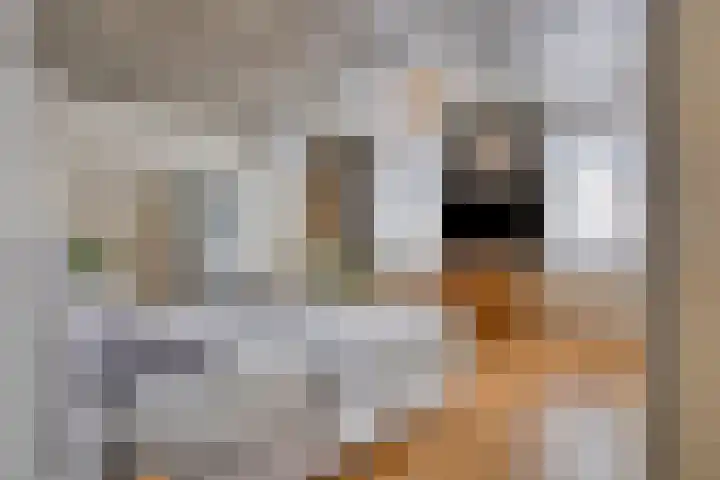 Sionsweg 53 Maastricht thumbnail 25