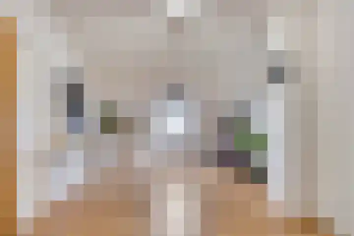 Sionsweg 53 Maastricht thumbnail 30