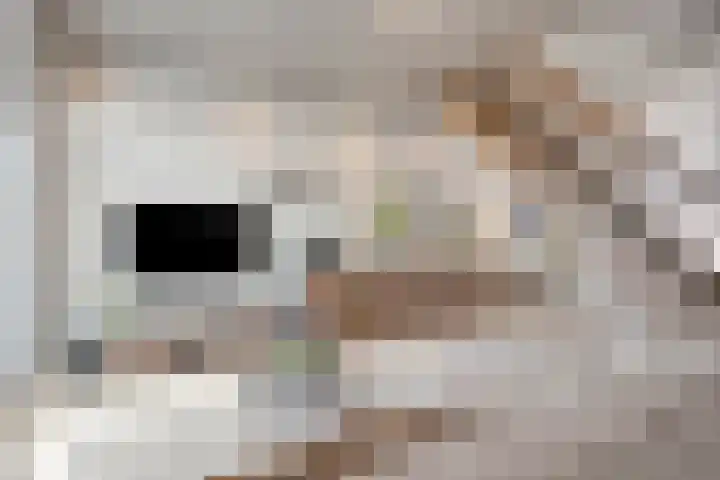 Sionsweg 53 Maastricht thumbnail 8