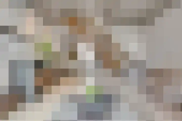 Sionsweg 53 Maastricht thumbnail 9