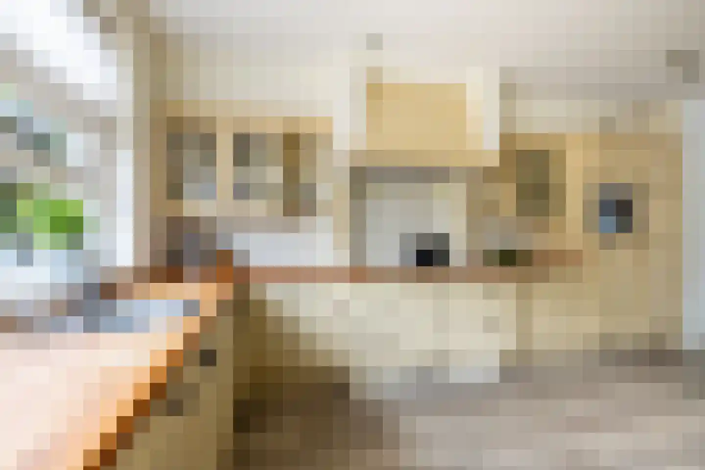 Siouxstraat 10 Purmerend thumbnail 20